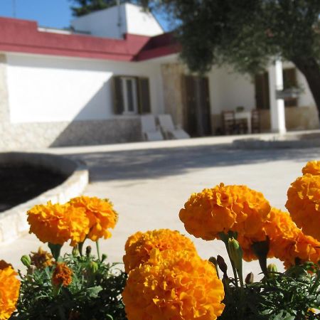 Vila Casa Ale & Vinci Monopoli Exteriér fotografie