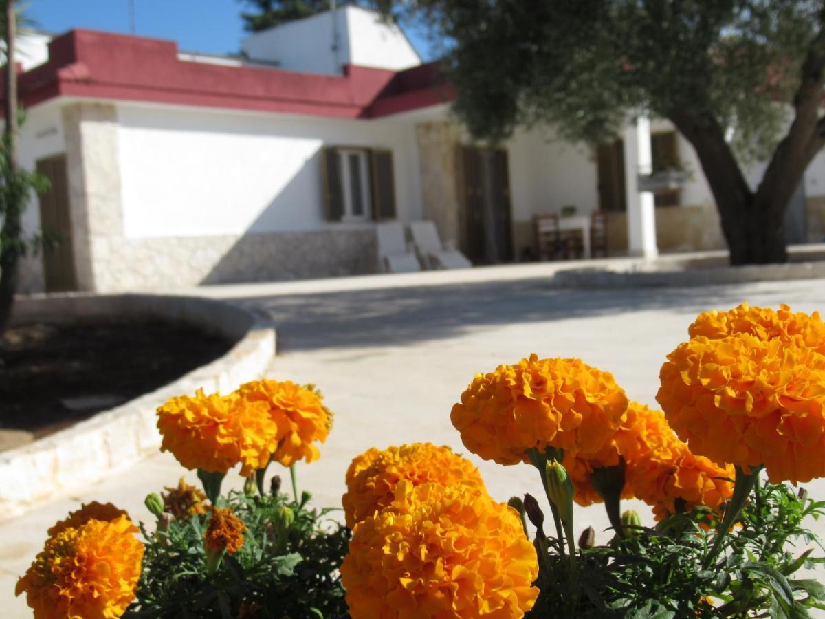 Vila Casa Ale & Vinci Monopoli Exteriér fotografie