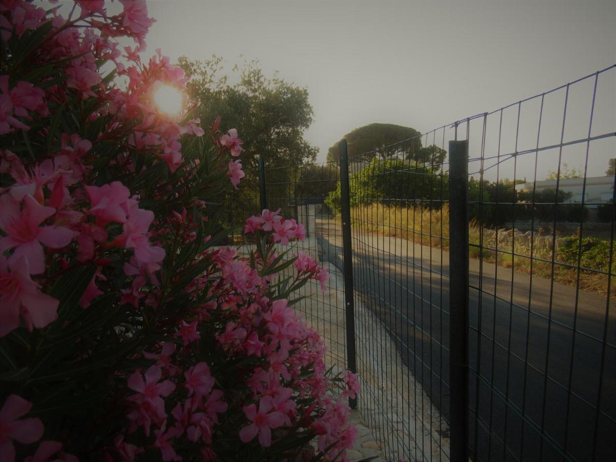 Vila Casa Ale & Vinci Monopoli Exteriér fotografie