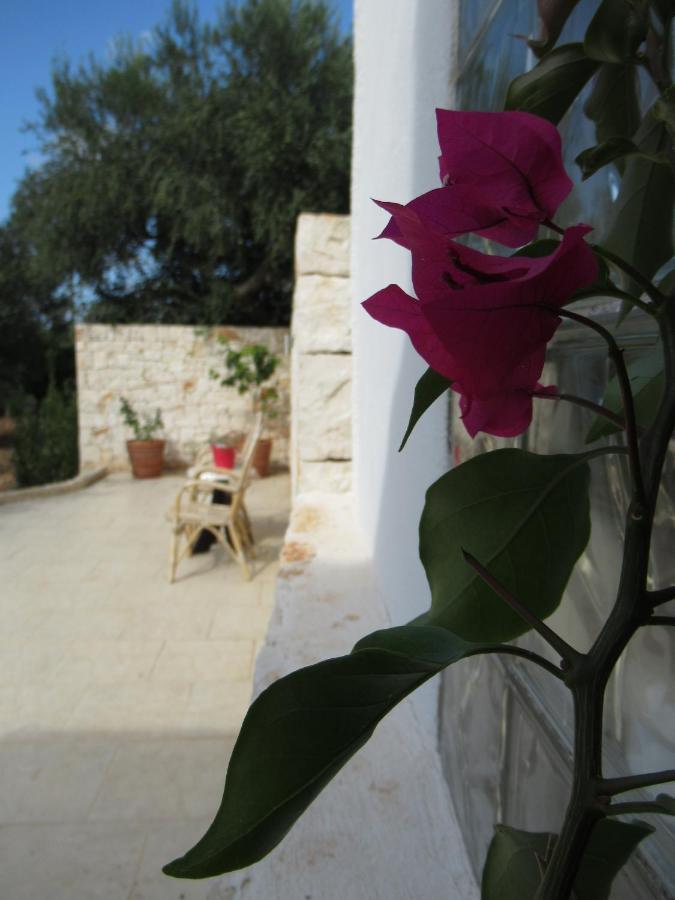 Vila Casa Ale & Vinci Monopoli Exteriér fotografie
