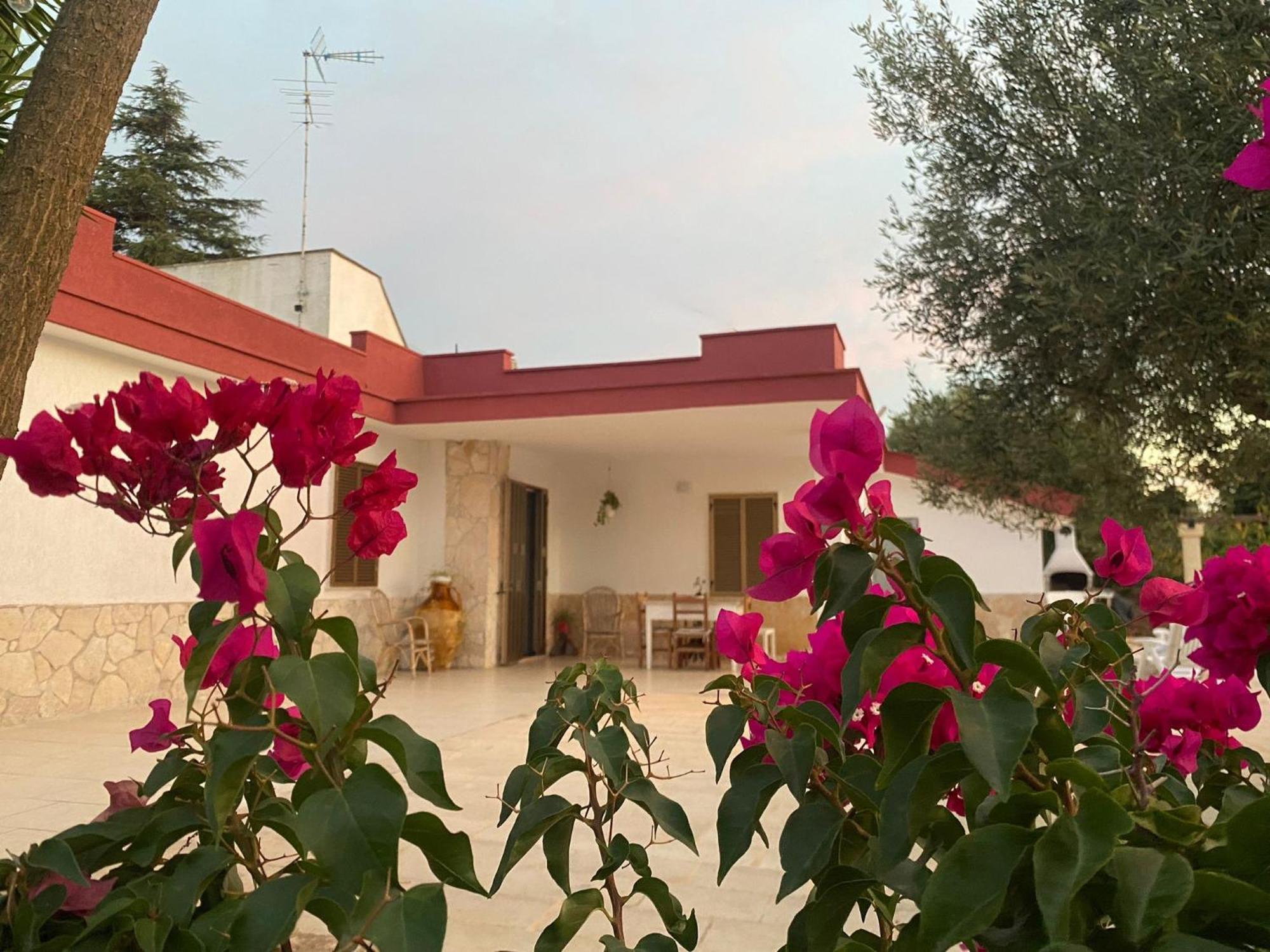 Vila Casa Ale & Vinci Monopoli Exteriér fotografie